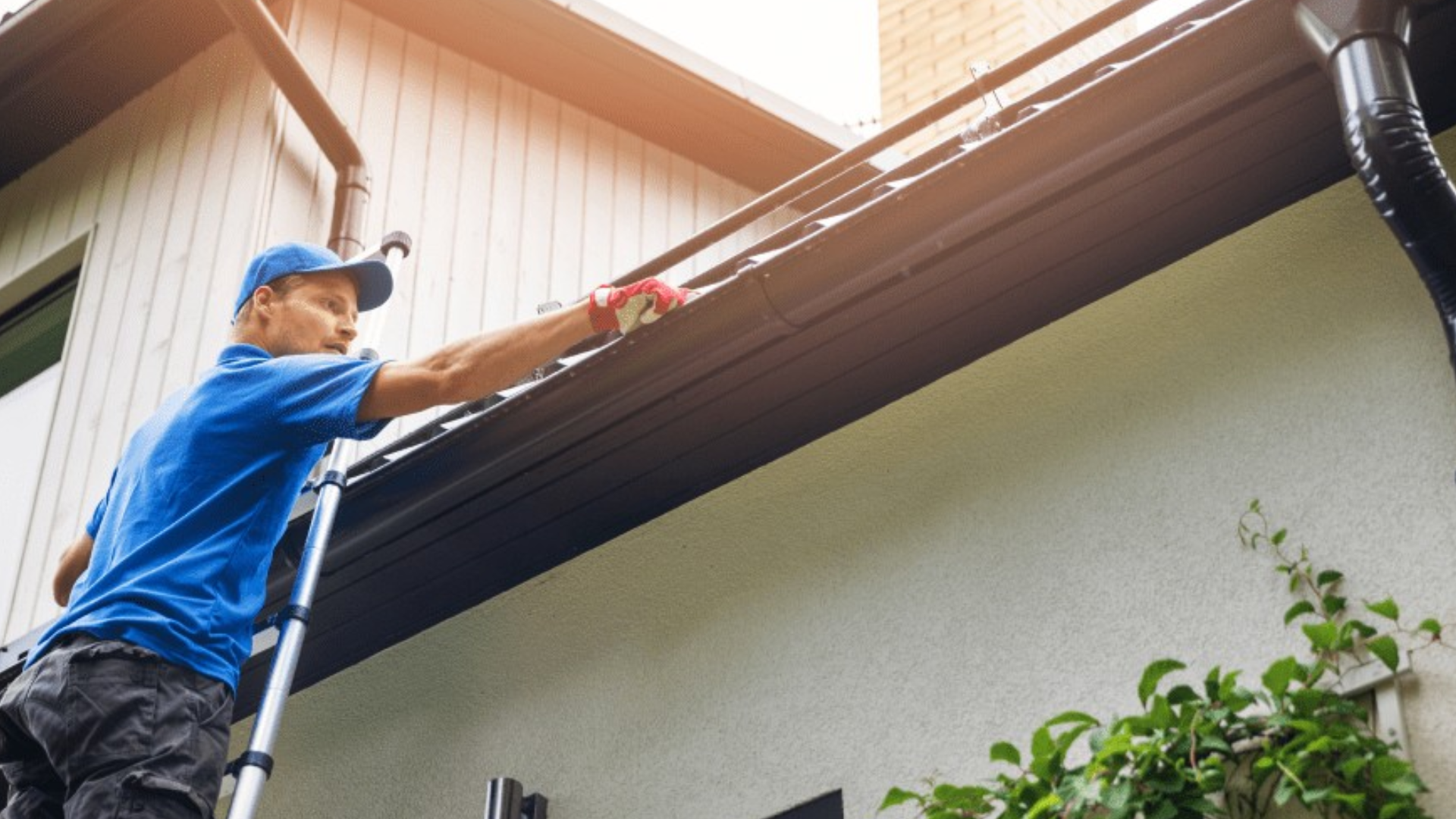 Roofing Guide
